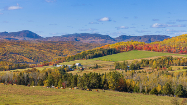 Photos d’ici | Chemin St-Ours, Baie-Saint-Paul