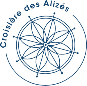Logo bleu ocean croisiere