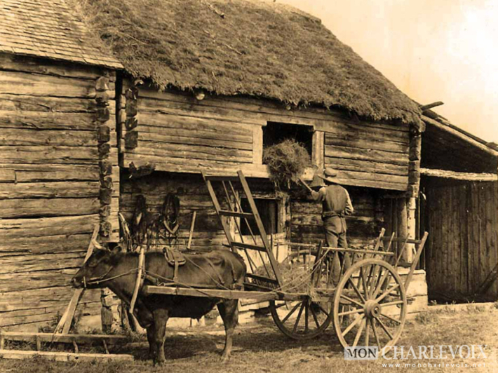 Photos souvenir | Le char à boeuf et l'agriculture | La Malbaie | 1900