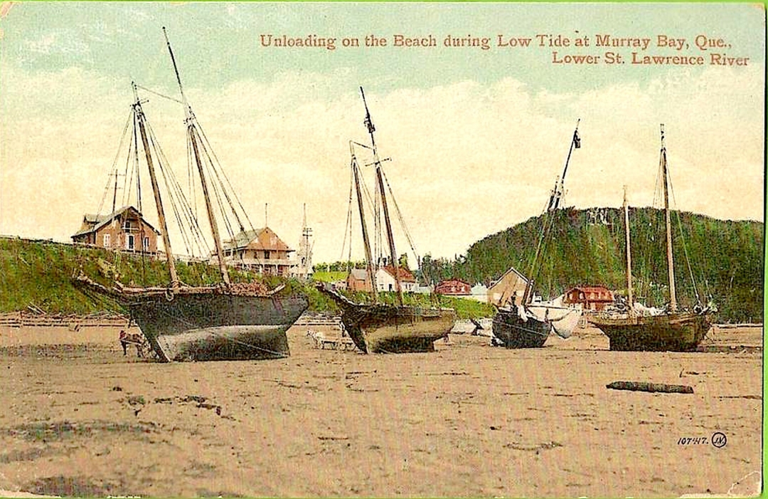 3 La Malbaie berges vers 1915
