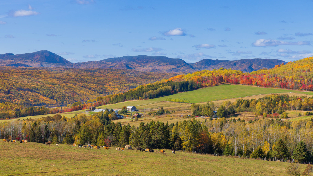 Chemin Saint Ours Baie Saint Paul