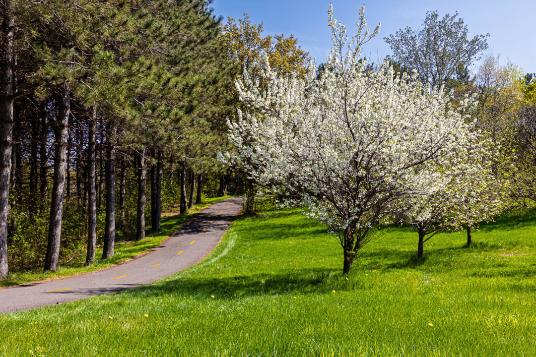 Heureux printemps