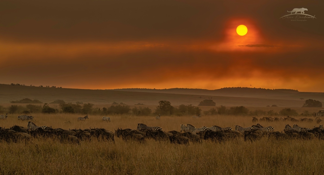L Afrique cest magique2