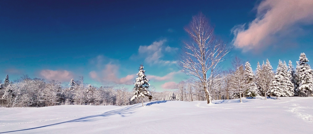 La valle sous un ciel bleu