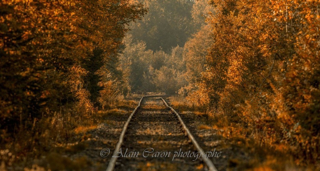 L'automne sur les rails par Alain Caron !