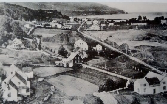 Le village de St-Joseph-de-la-Rive en 1935 (collections J Des Gagniers, par Pierre Perron et André Simard)