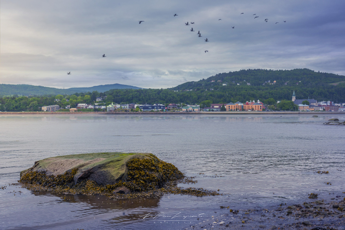 12 jplapointe Baie de La Malbaie