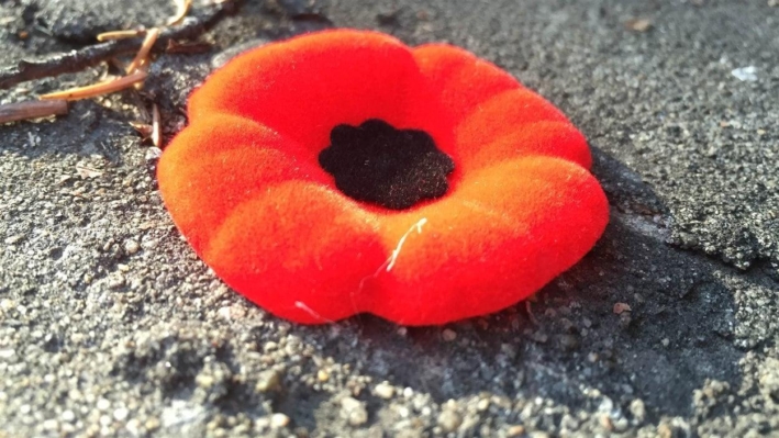 151110 8p7n2 coquelicot jour souvenir sn1250