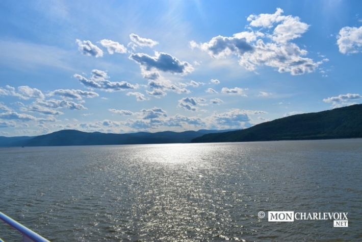 DSC 1006