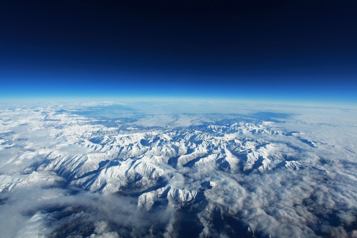 Guepe changements climatiques