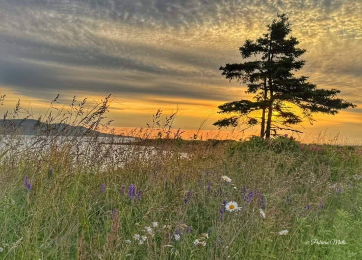 Le Bout den Bas sur l Isle aux Coudres3