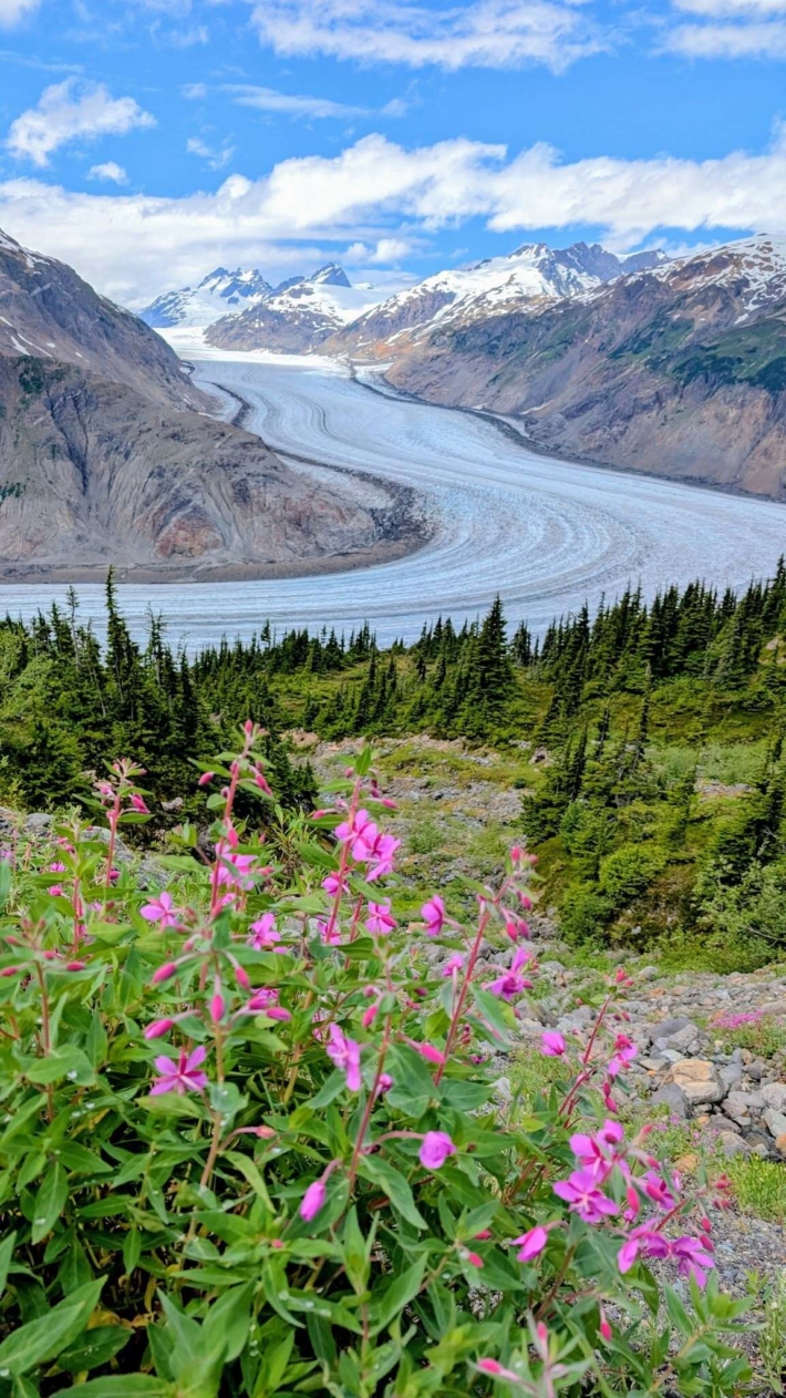 Salmon Glacier Alaska