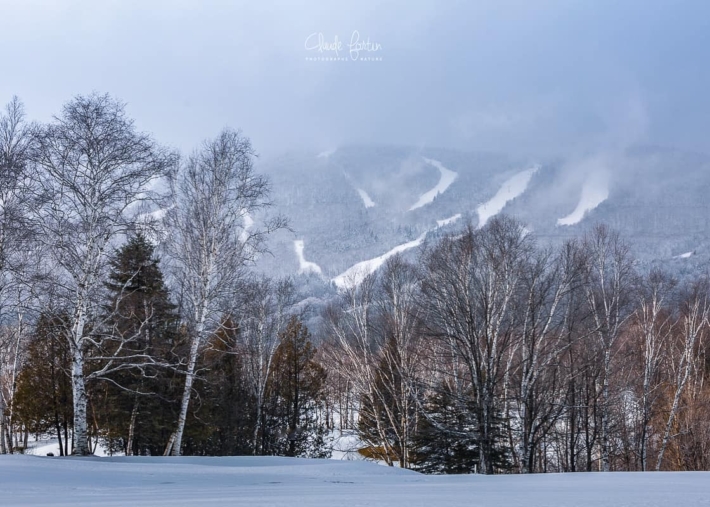 Une foret et une montagne enneigees Mont Sainte Anne