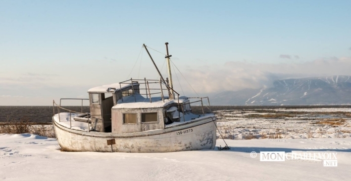 Allan ilse aux coudres