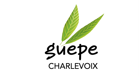 Guepe