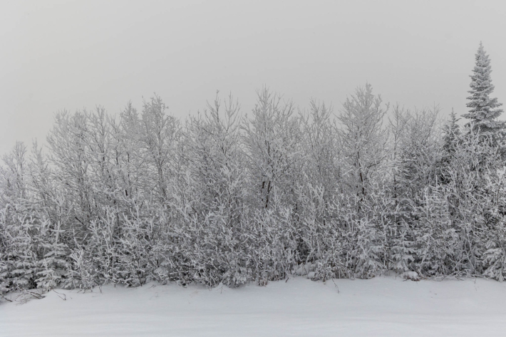Hiver blanc