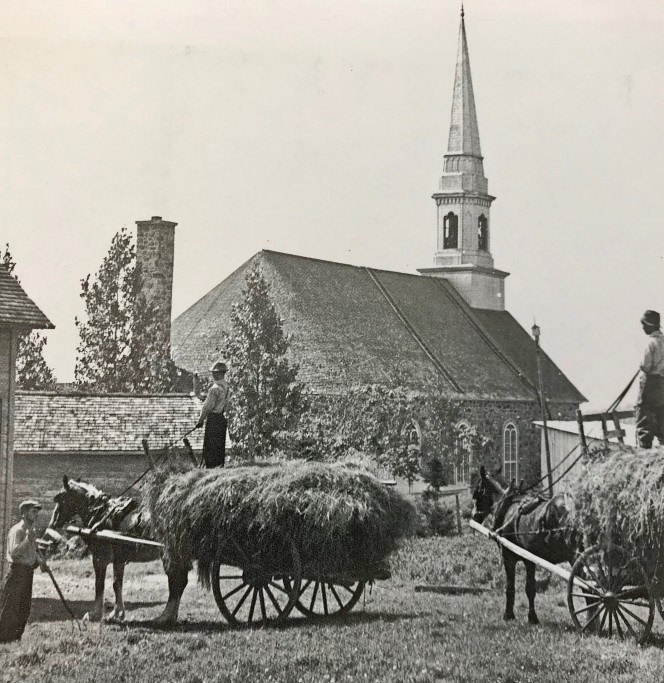 Image1