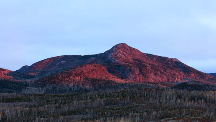 Mont