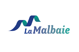 Vlm