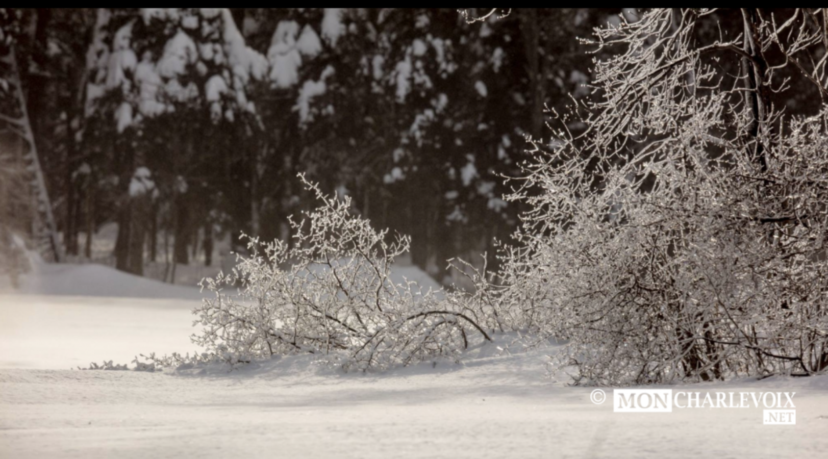 "L'extrême beauté de l'hiver en une image",magnifique photo d'Alain Caron