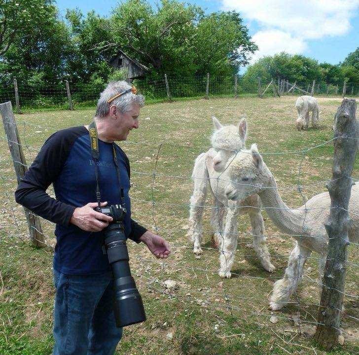 Le photographe Alain Caron en action avec les amis Alpagas !!