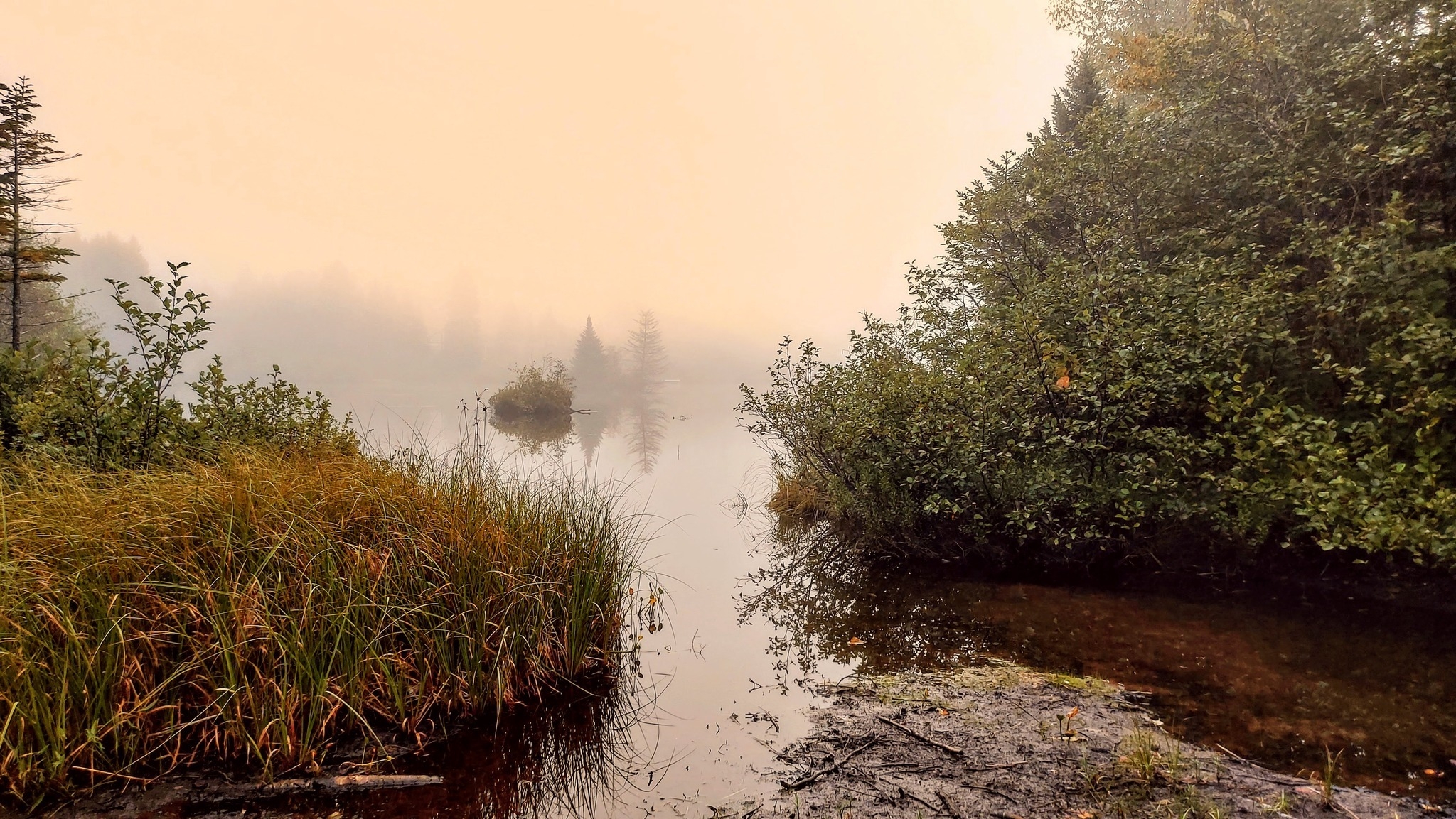 La brume magique qui nous enveloppe