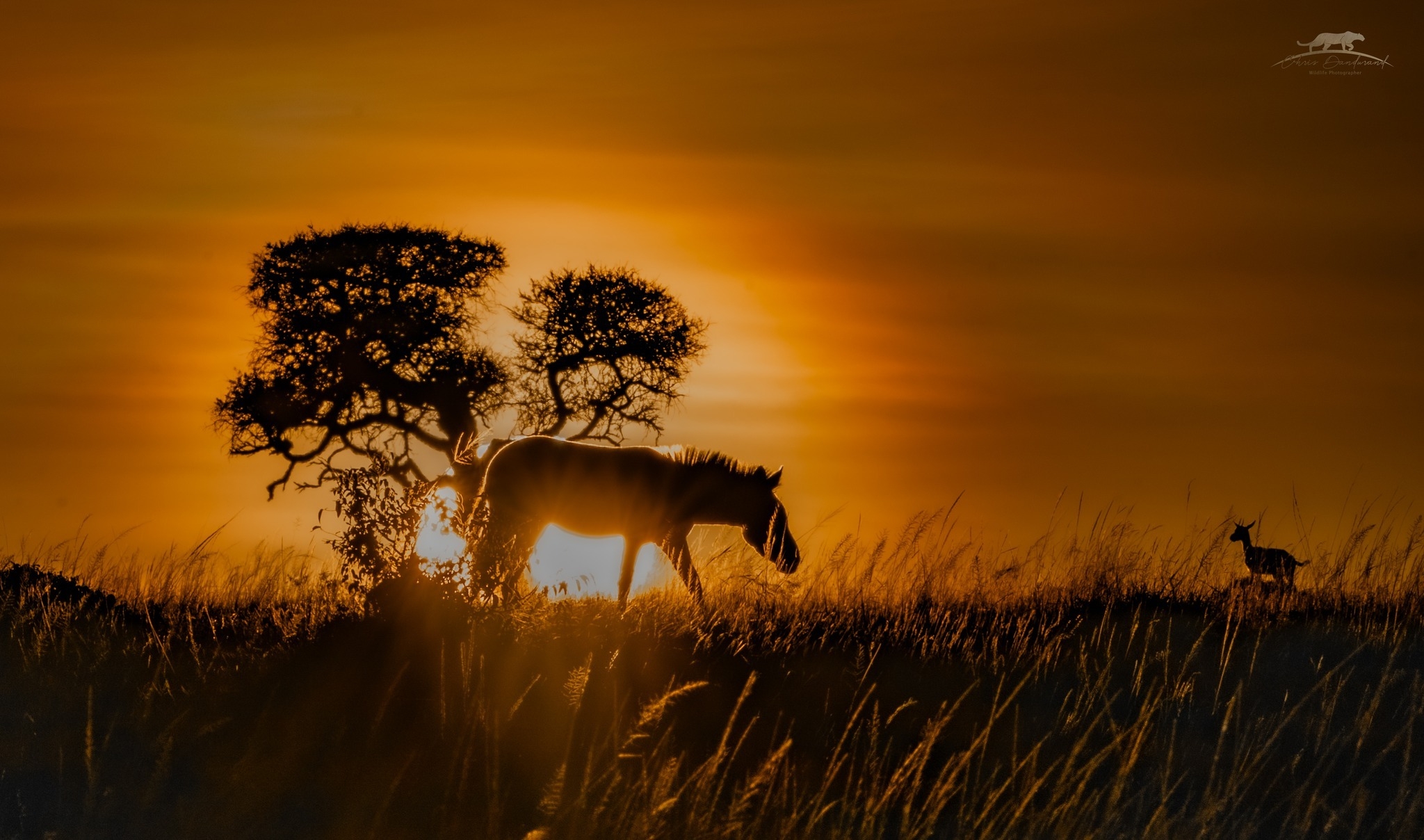 Le soleil se couche sur le Mara