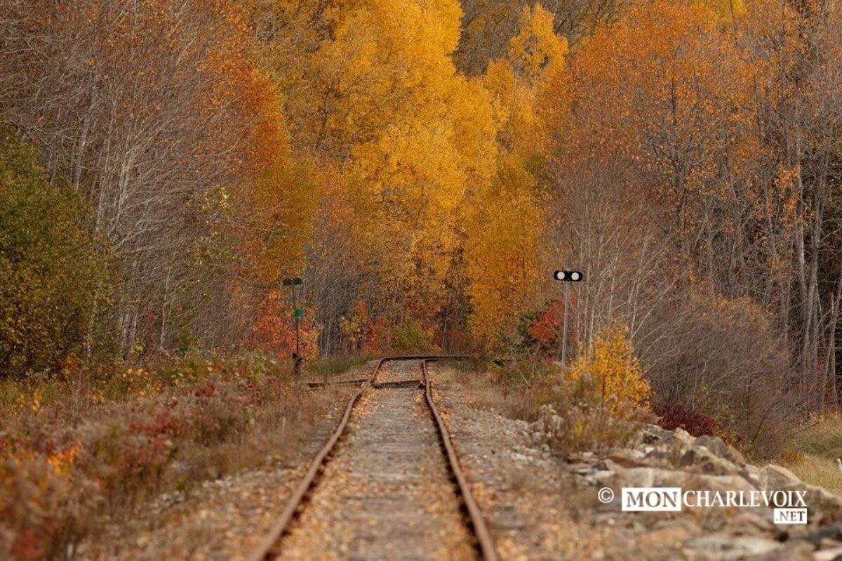 Le chemin de fer , photo Alain Caron