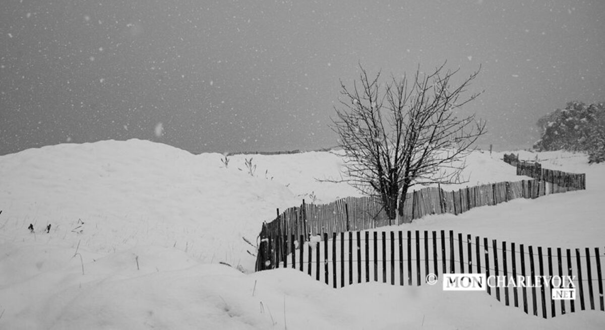 Sous la neige, un paysage féérique de Baie-Saint-Paul...