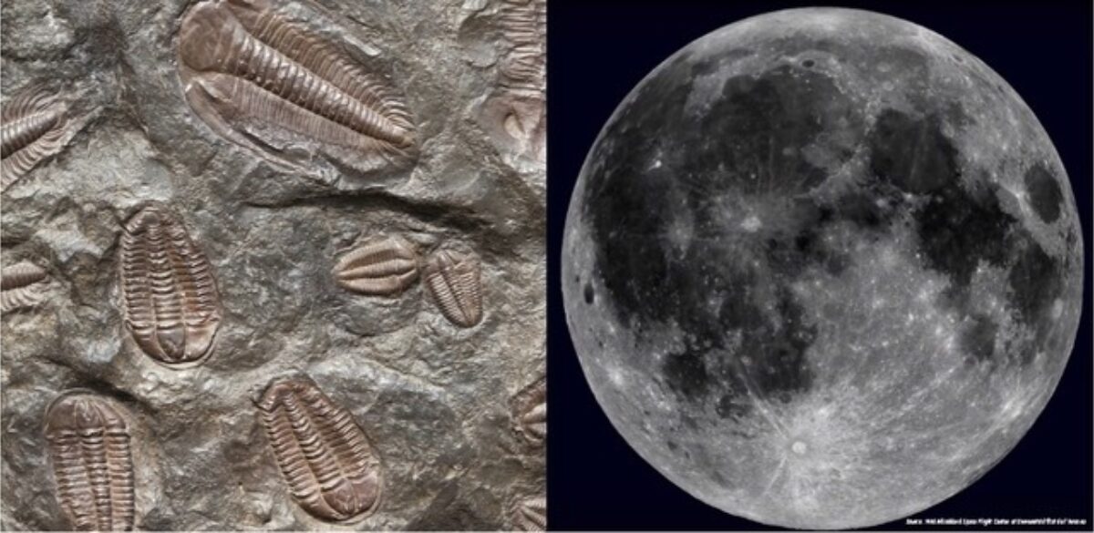 Conférences sur les fossiles et la Lune à la bibliothèque Laure-Conan